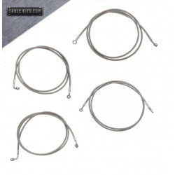 Stainless ABS Cable Kit for 2017-2020 Harley Davidson Touring
